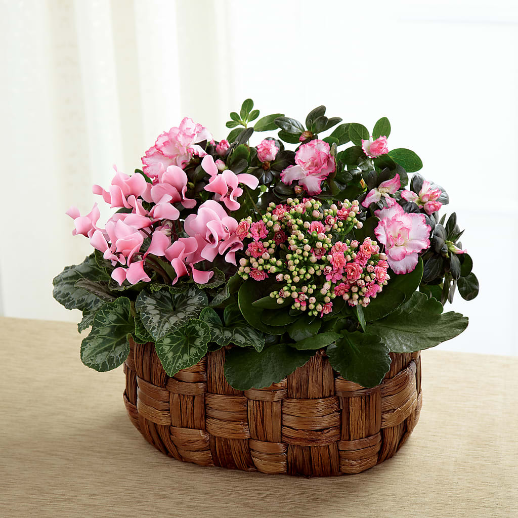 Pink Assortment – LILY'S FLORAL DESIGN & GIFTS, Aberdeen SD