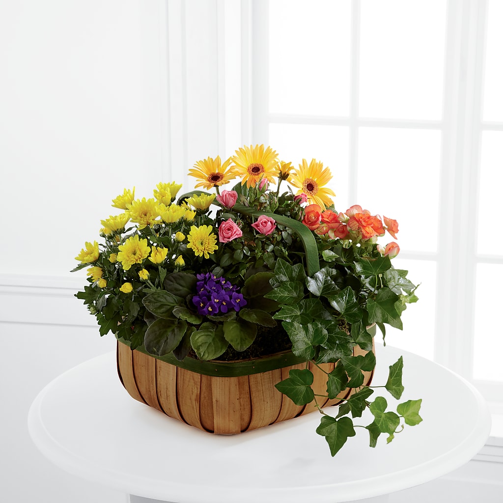 Gentle Blossoms Basket – LILY'S FLORAL DESIGN & GIFTS, Aberdeen SD