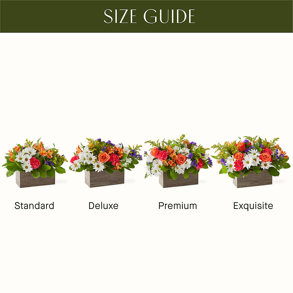Oopsie Daisy Box Bouquet – LILY'S FLORAL DESIGN & GIFTS, Aberdeen SD
