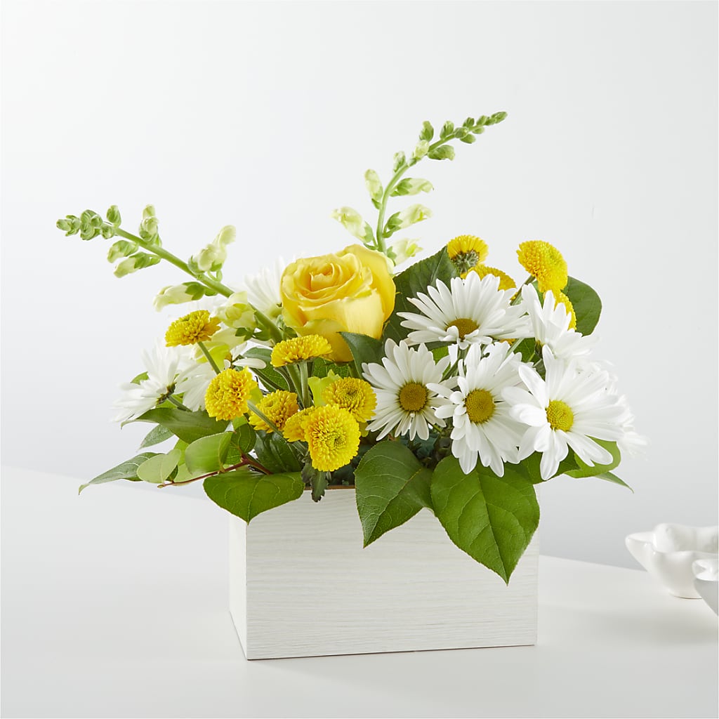 Sun Salutation Box Bouquet – LILY'S FLORAL DESIGN & GIFTS, Aberdeen SD