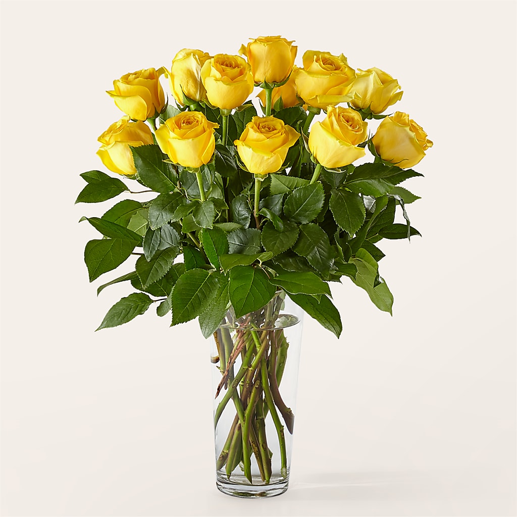 Long Stem Yellow Rose Bouquet – LILY'S FLORAL DESIGN & GIFTS, Aberdeen SD