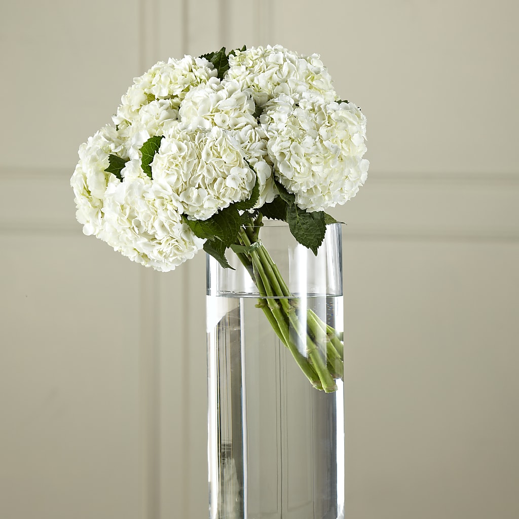 White Hydrangea Hand-Tied Bouquet – LILY'S FLORAL DESIGN & GIFTS, Aberdeen SD
