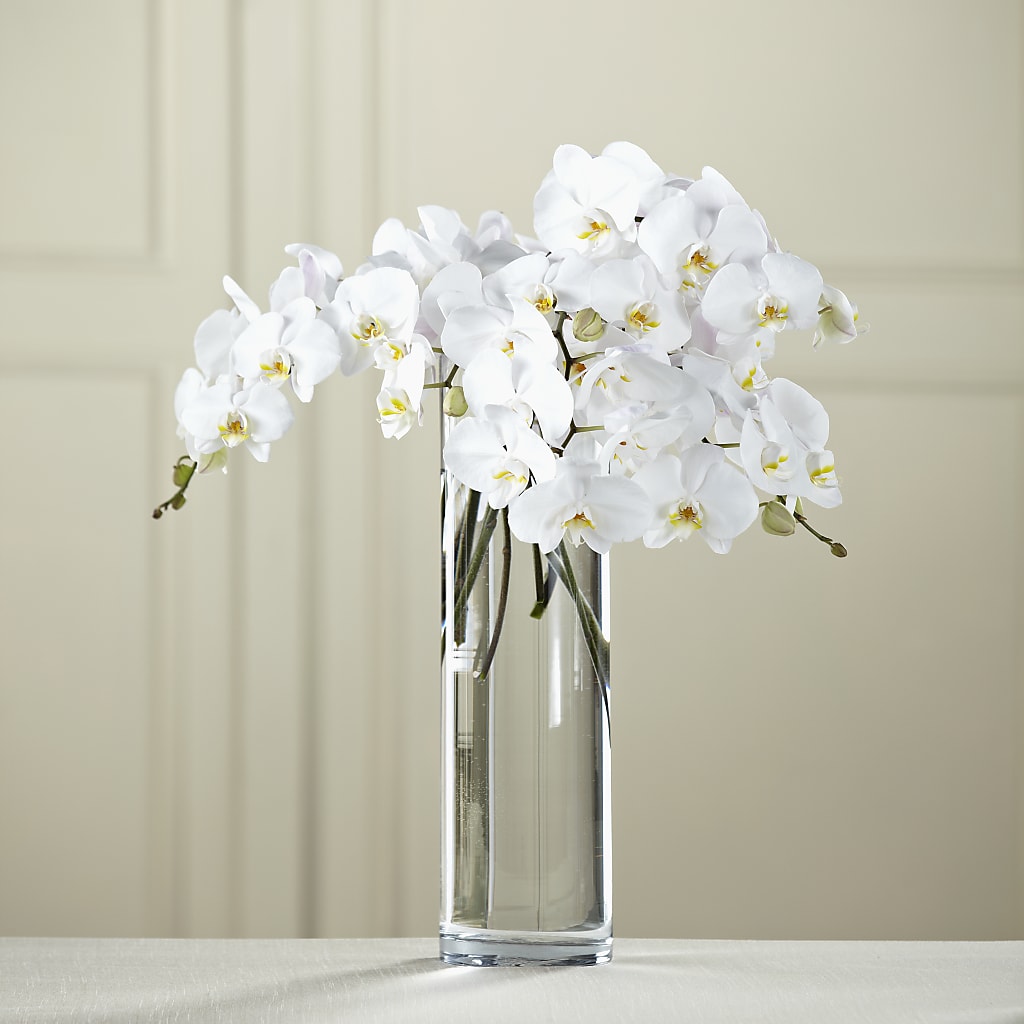 White Phalaenopsis Bouquet – LILY'S FLORAL DESIGN & GIFTS, Aberdeen SD