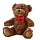 Adorable Plush Bear – LILY'S FLORAL DESIGN & GIFTS, Aberdeen SD