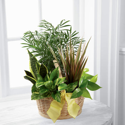 French Garden – LILY'S FLORAL DESIGN & GIFTS, Aberdeen SD