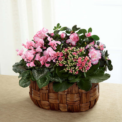 Pink Assortment – LILY'S FLORAL DESIGN & GIFTS, Aberdeen SD