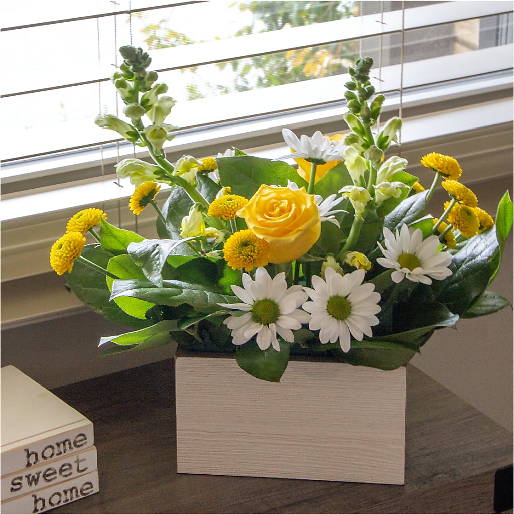 Sun Salutation Box Bouquet – LILY'S FLORAL DESIGN & GIFTS, Aberdeen SD