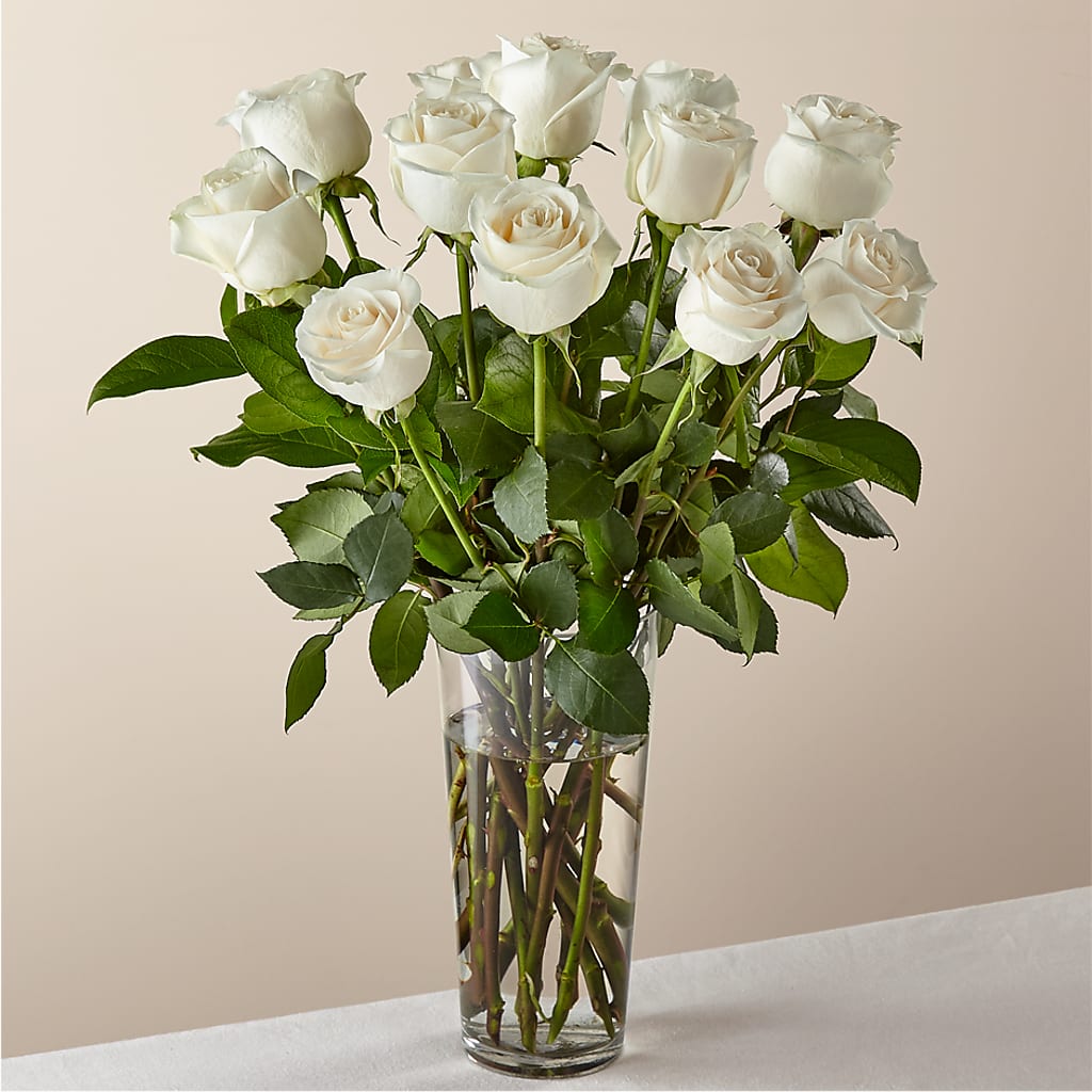 Long Stem White Rose Bouquet – LILY'S FLORAL DESIGN & GIFTS, Aberdeen SD