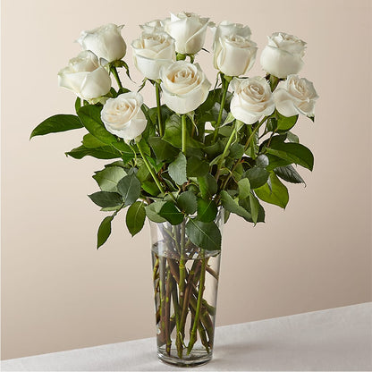 Long Stem White Rose Bouquet – LILY'S FLORAL DESIGN & GIFTS, Aberdeen SD