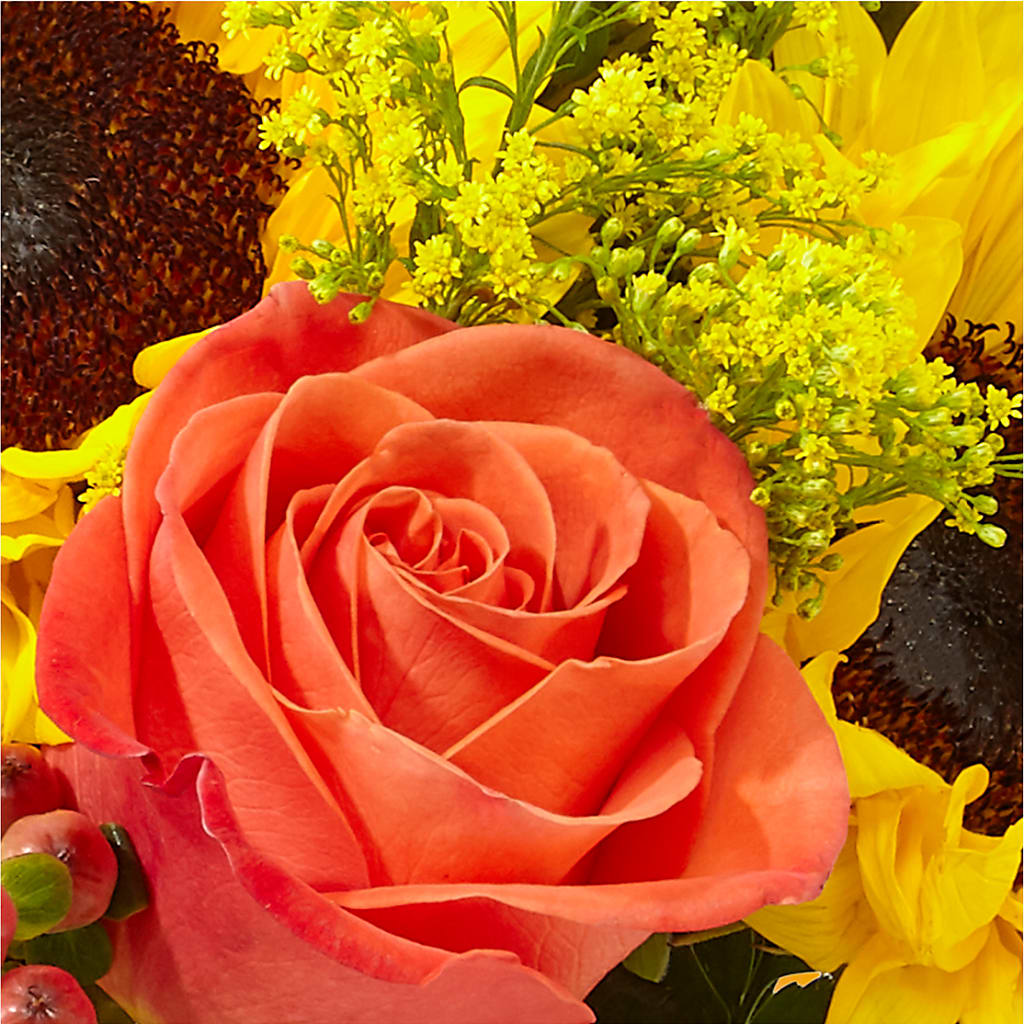 Pick of the Patch Pumpkin Bouquet – LILY'S FLORAL DESIGN & GIFTS, Aberdeen SD