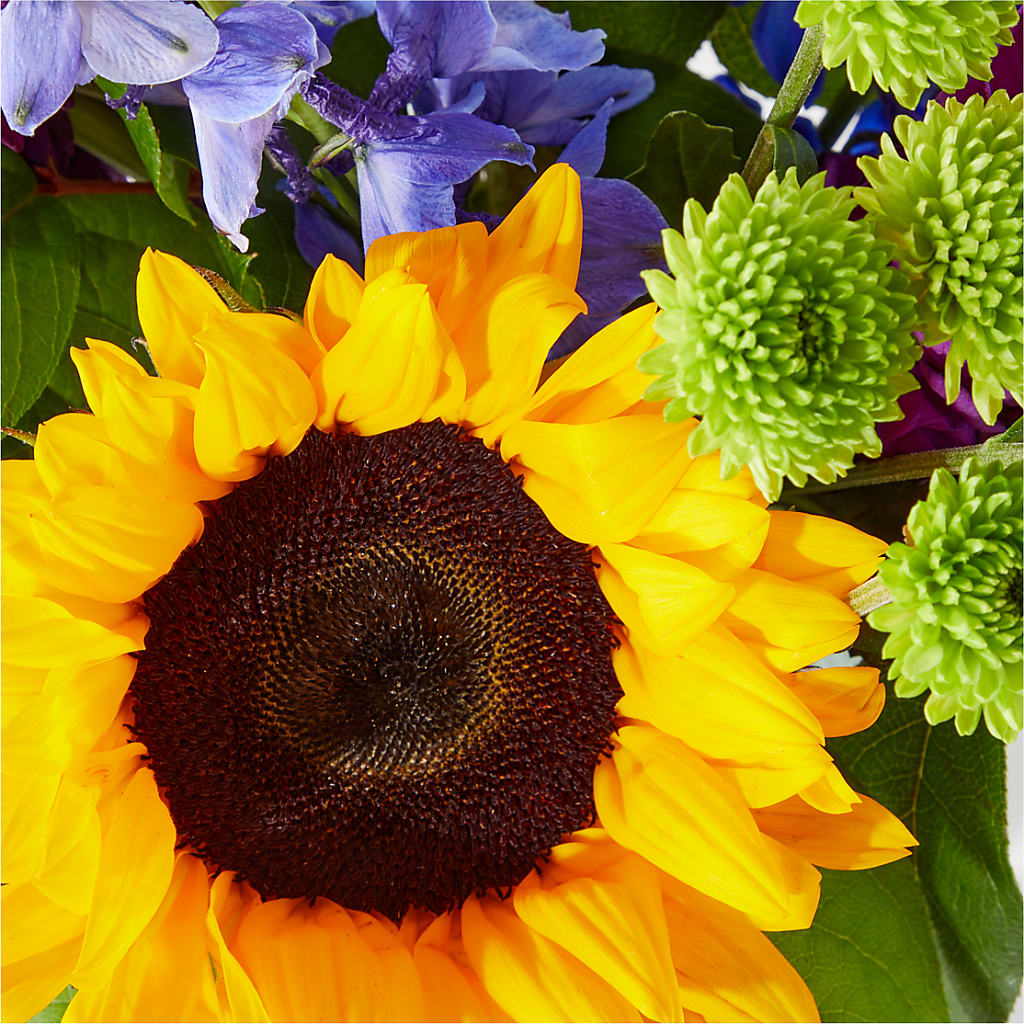 Catching Rays Bouquet – LILY'S FLORAL DESIGN & GIFTS, Aberdeen SD