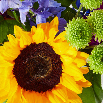 Catching Rays Bouquet – LILY'S FLORAL DESIGN & GIFTS, Aberdeen SD