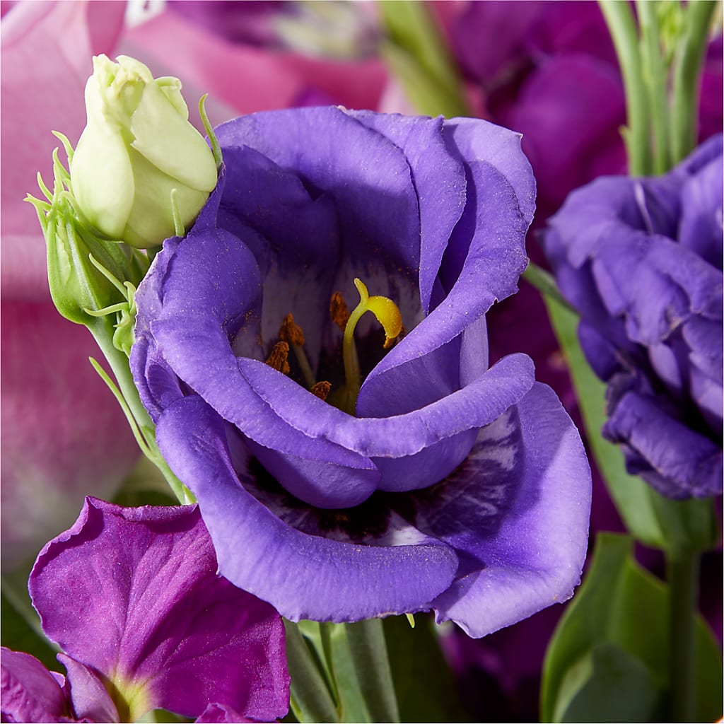 Twilight Glow Bouquet – LILY'S FLORAL DESIGN & GIFTS, Aberdeen SD