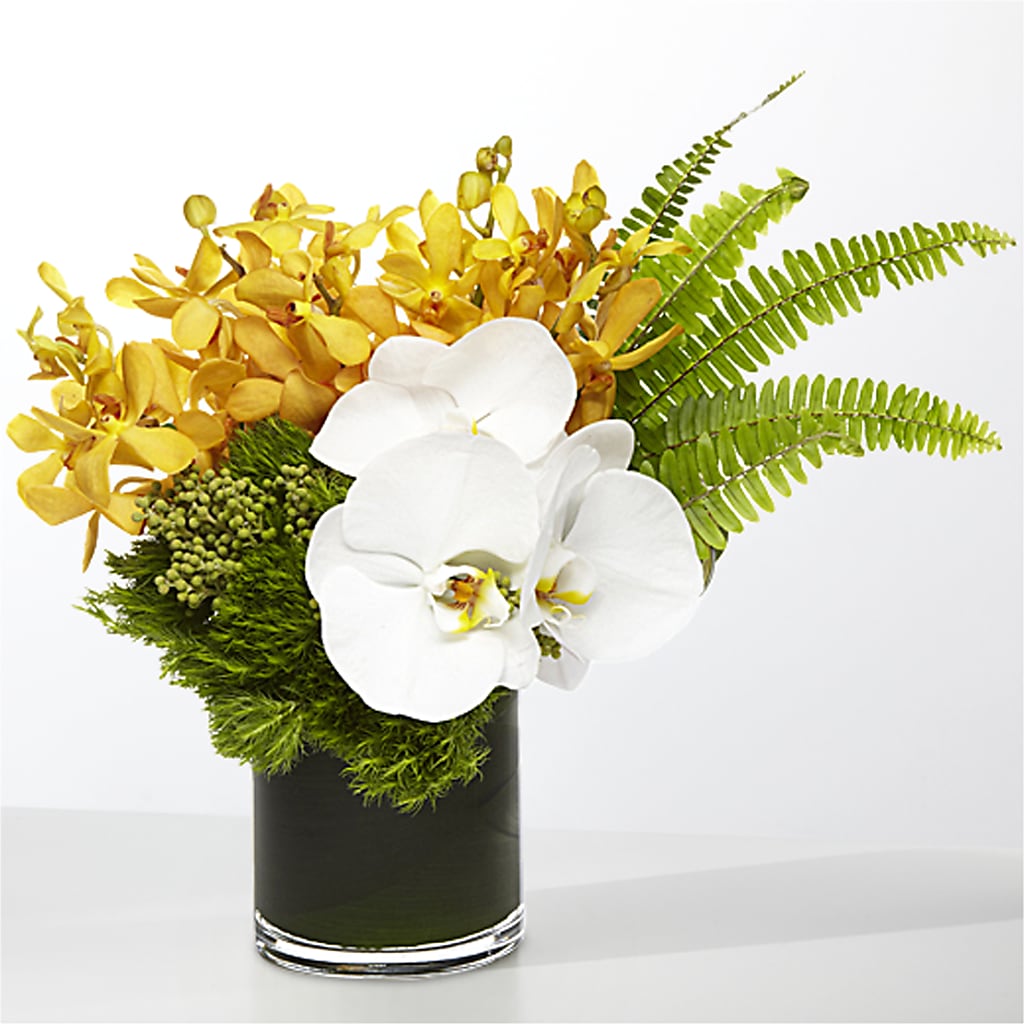The Tropics – LILY'S FLORAL DESIGN & GIFTS, Aberdeen SD