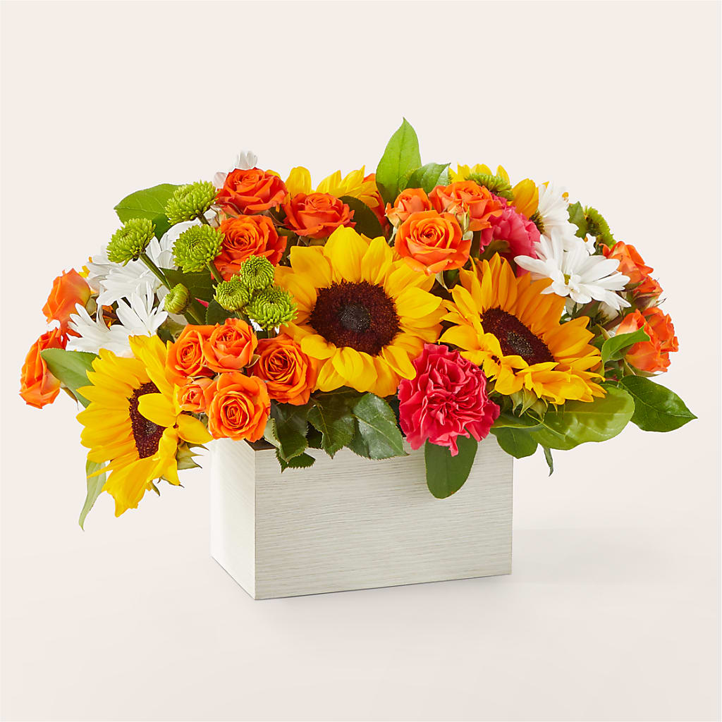 Sun-drenched Blooms Box Bouquet – LILY'S FLORAL DESIGN & GIFTS, Aberdeen SD