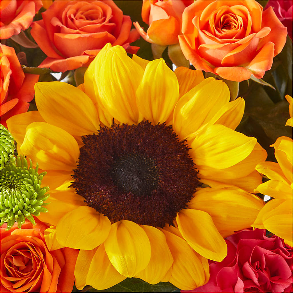Sun-drenched Blooms Box Bouquet – LILY'S FLORAL DESIGN & GIFTS, Aberdeen SD