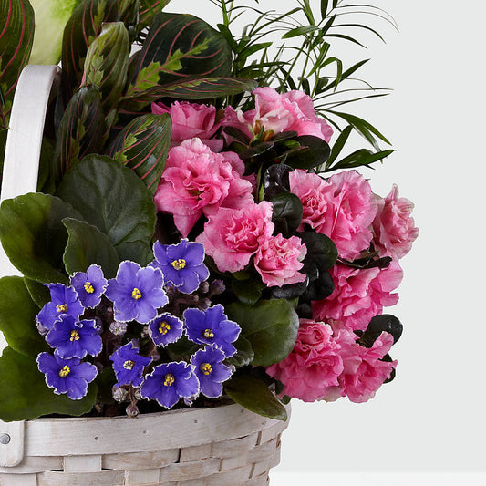 Peaceful Garden Planter – LILY'S FLORAL DESIGN & GIFTS, Aberdeen SD