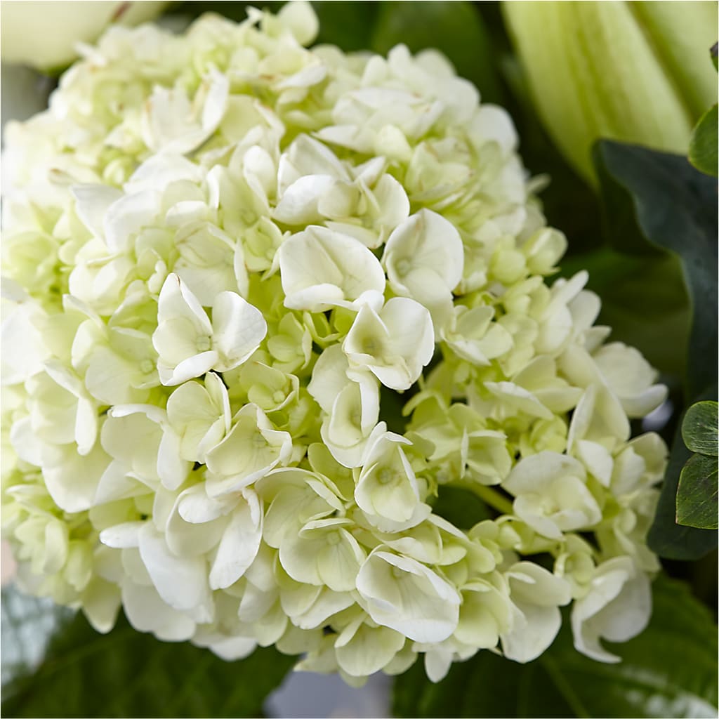 Classic Ivory – A Florist Original – LILY'S FLORAL DESIGN & GIFTS, Aberdeen SD
