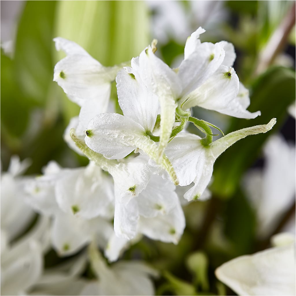 Classic Ivory – A Florist Original – LILY'S FLORAL DESIGN & GIFTS, Aberdeen SD