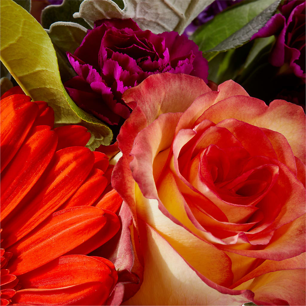 Sangria Bouquet – LILY'S FLORAL DESIGN & GIFTS, Aberdeen SD