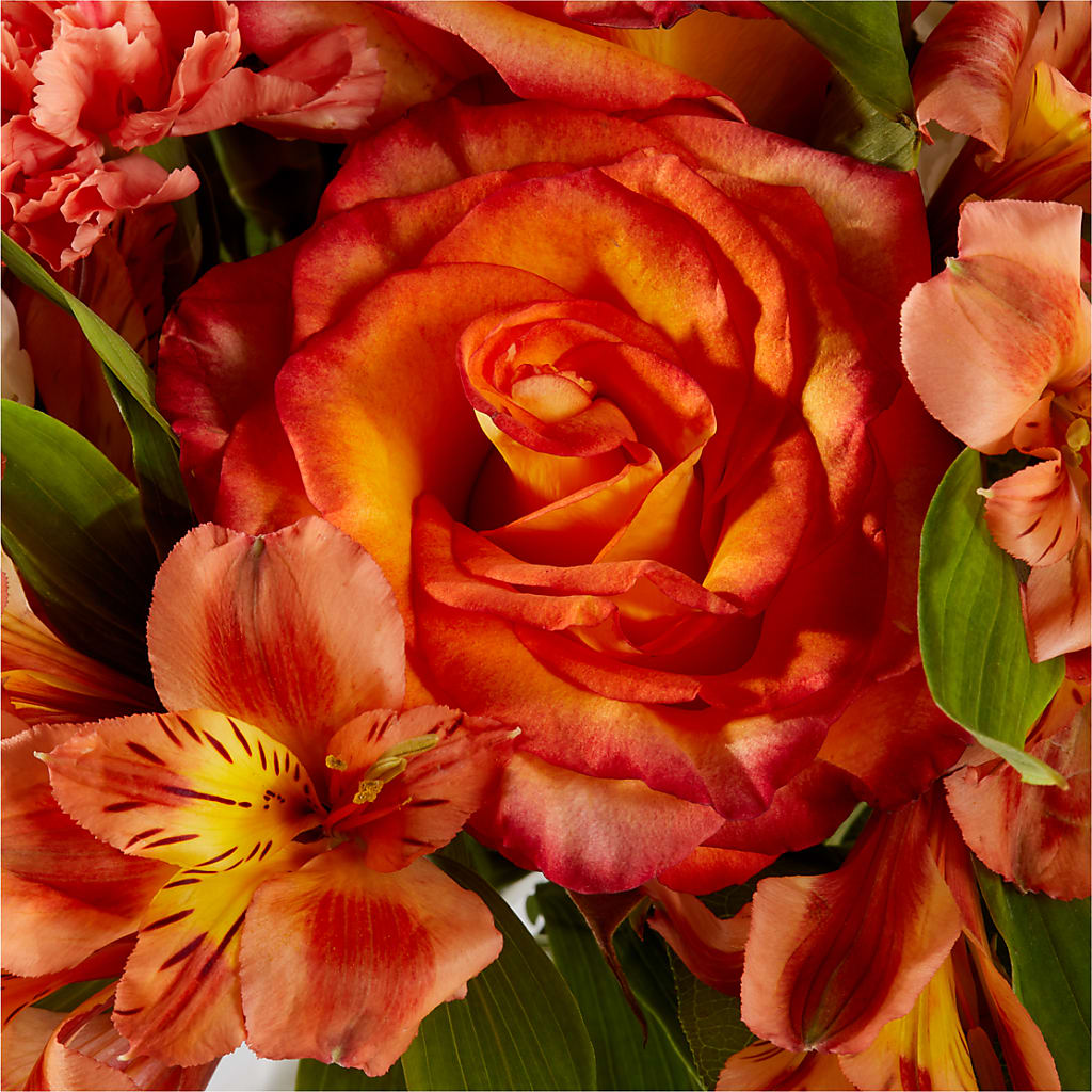 Apricot Glow Bouquet – LILY'S FLORAL DESIGN & GIFTS, Aberdeen SD