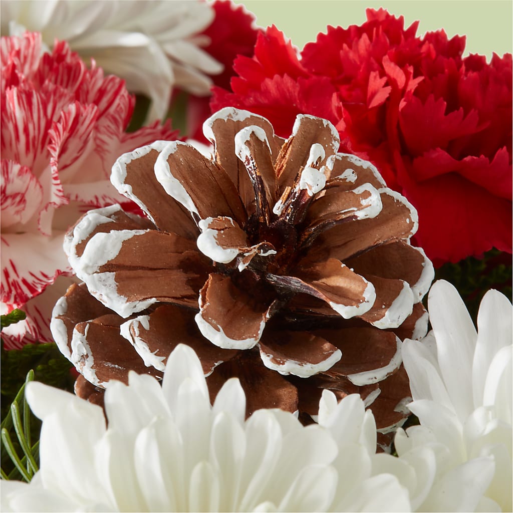 Candy Cane Lane Bouquet – LILY'S FLORAL DESIGN & GIFTS, Aberdeen SD