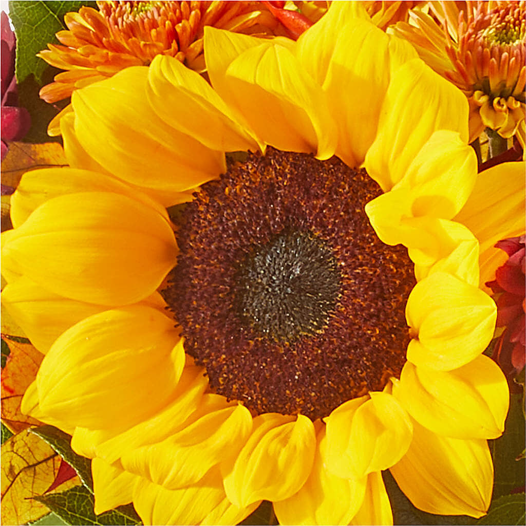 Sunny Side Bouquet – LILY'S FLORAL DESIGN & GIFTS, Aberdeen SD