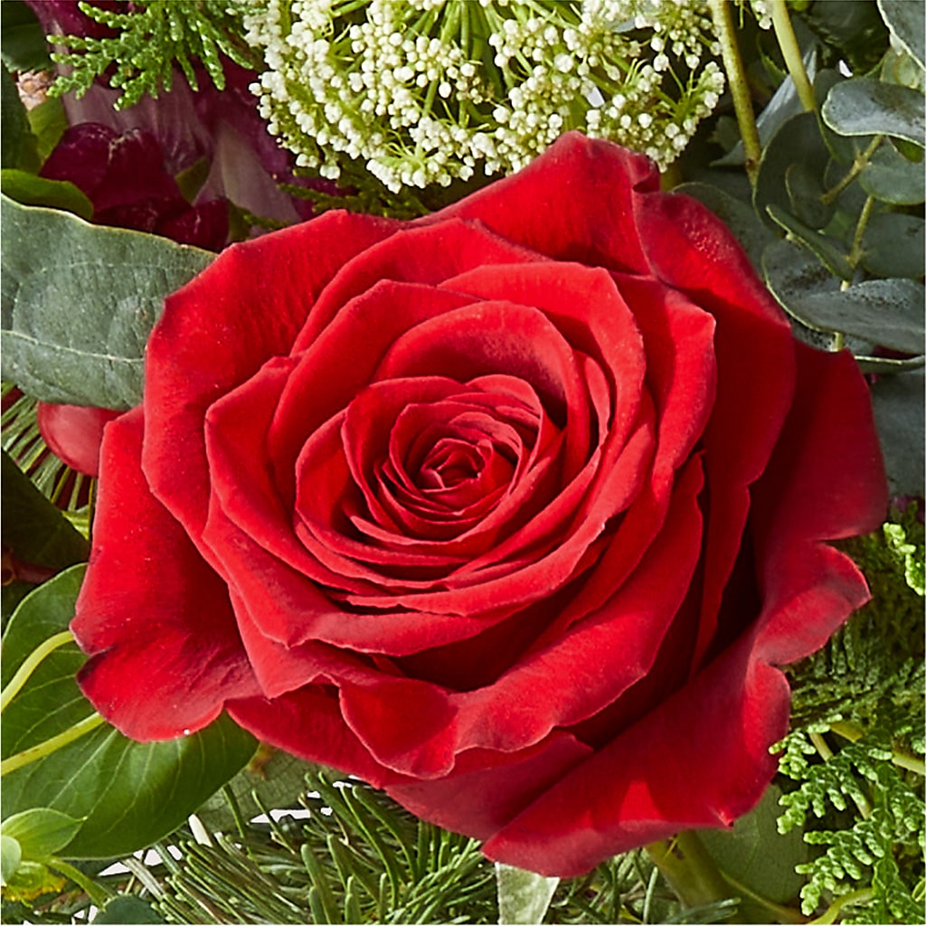 Cranberry Fizz Bouquet – LILY'S FLORAL DESIGN & GIFTS, Aberdeen SD