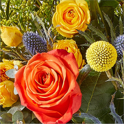 Disco Bouquet – LILY'S FLORAL DESIGN & GIFTS, Aberdeen SD