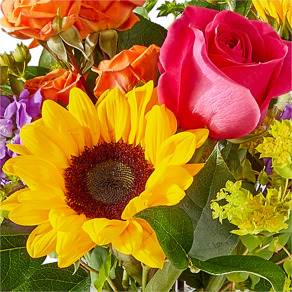 Vibrant Greetings Bouquet – LILY'S FLORAL DESIGN & GIFTS, Aberdeen SD