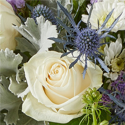 Shooting Star Bouquet – LILY'S FLORAL DESIGN & GIFTS, Aberdeen SD