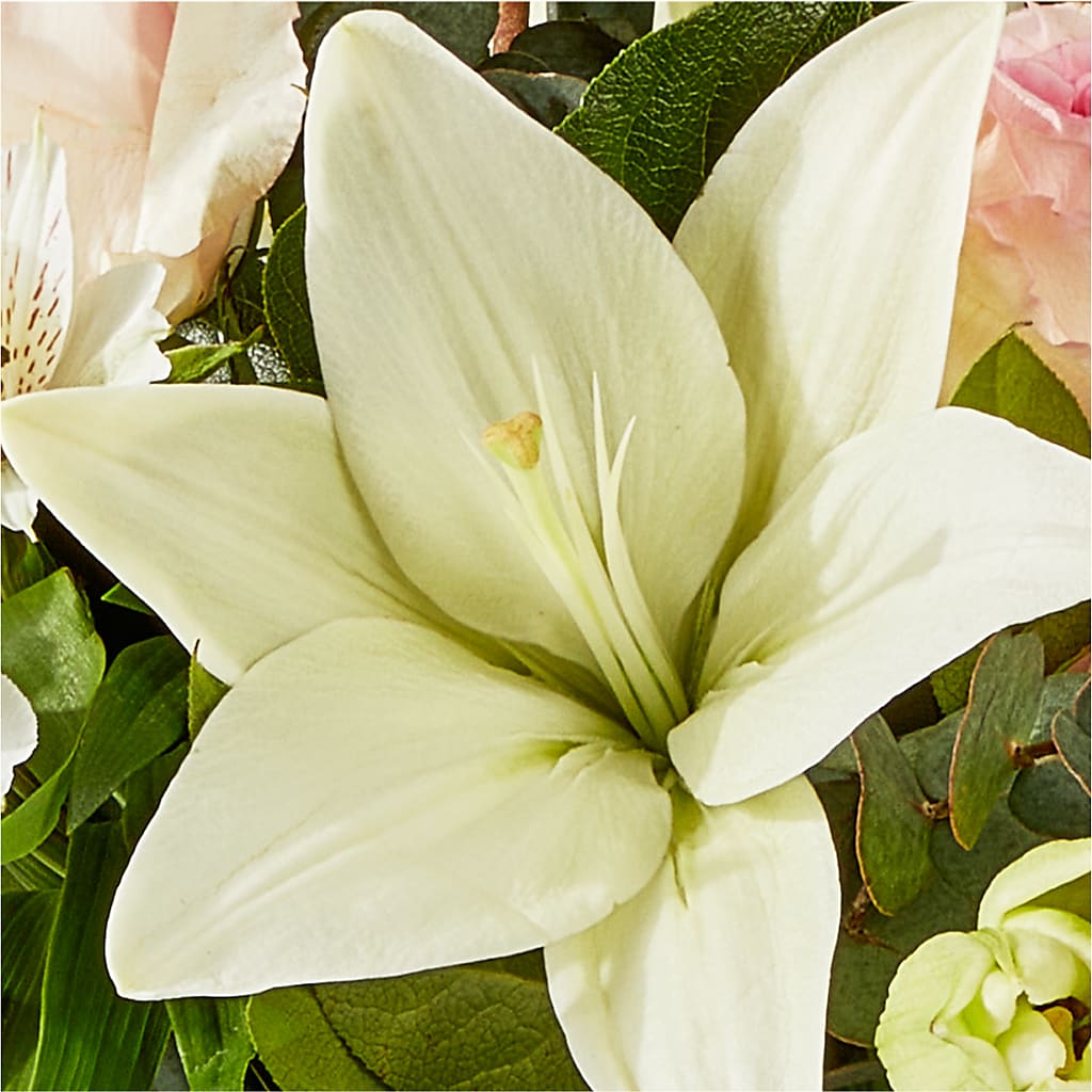 Ballet Slippers Bouquet – LILY'S FLORAL DESIGN & GIFTS, Aberdeen SD