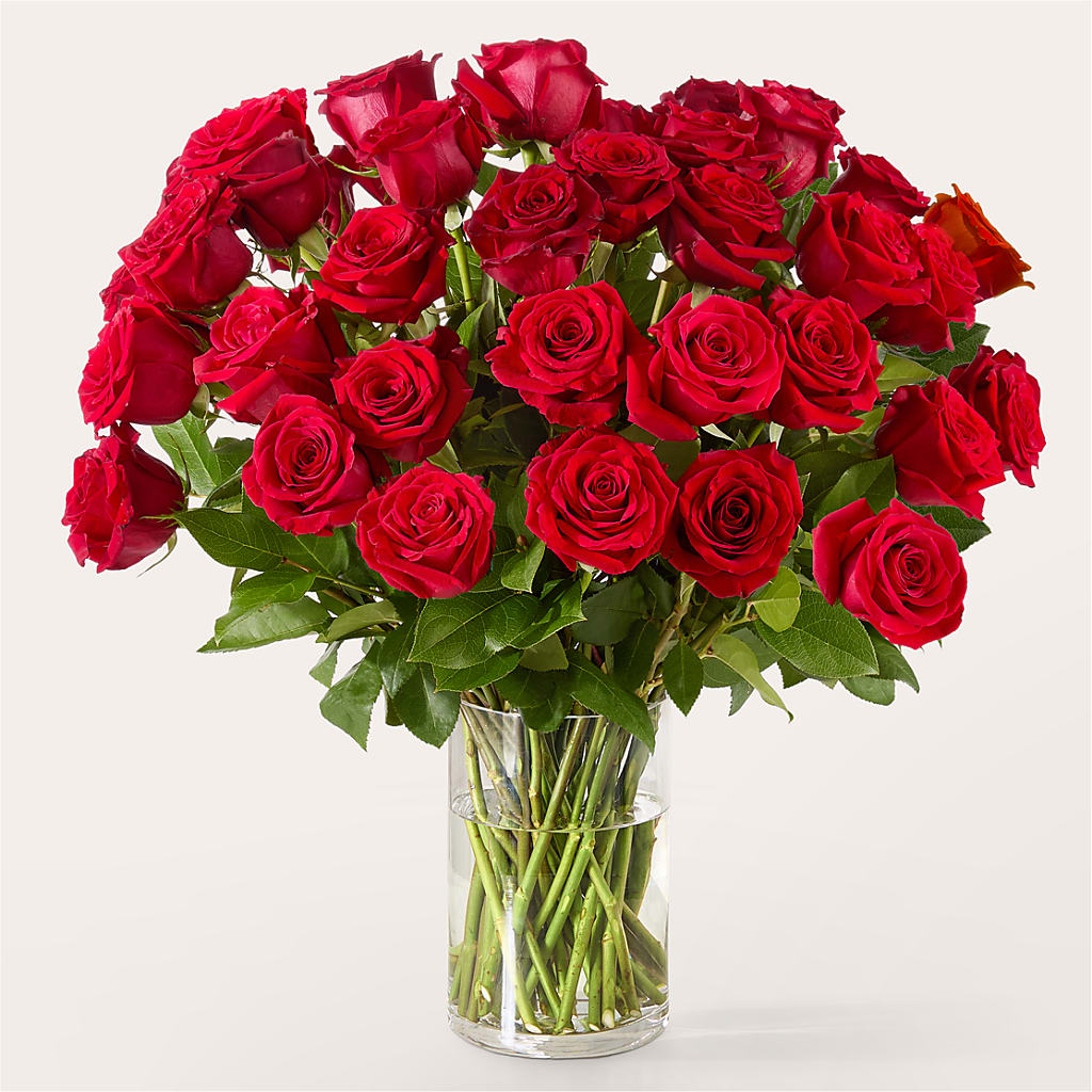 The One Red Rose Bouquet – LILY'S FLORAL DESIGN & GIFTS, Aberdeen SD
