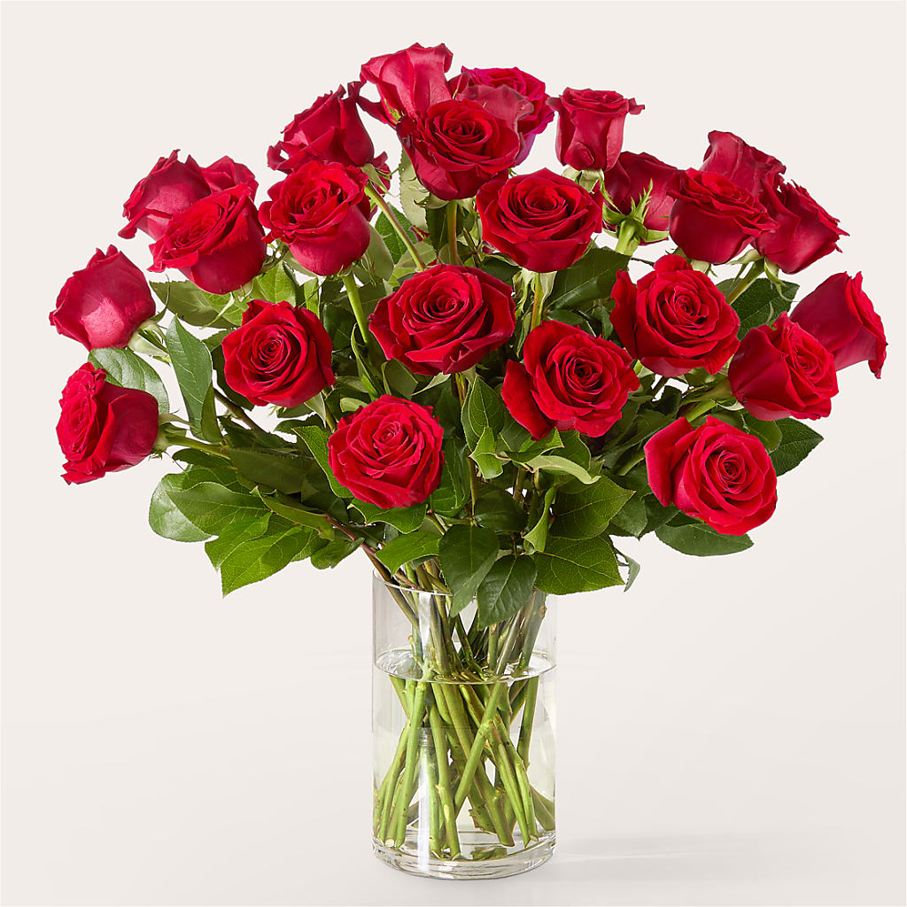 The One Red Rose Bouquet – LILY'S FLORAL DESIGN & GIFTS, Aberdeen SD