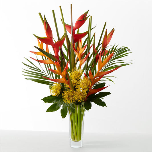 The Drama – LILY'S FLORAL DESIGN & GIFTS, Aberdeen SD