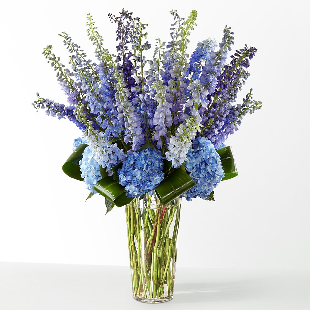 The Editorial – LILY'S FLORAL DESIGN & GIFTS, Aberdeen SD