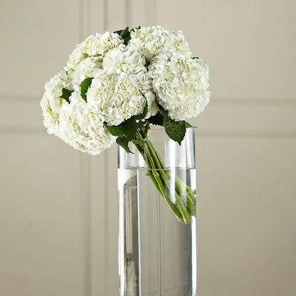 White Hydrangea Hand-Tied Bouquet – LILY'S FLORAL DESIGN & GIFTS, Aberdeen SD