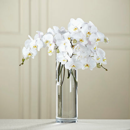 White Phalaenopsis Bouquet – LILY'S FLORAL DESIGN & GIFTS, Aberdeen SD